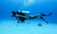 Recreational diving - Wikipedia